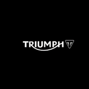 ทำลายเอกสาร-triumph